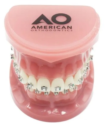 P/E TIPODONTO CON BRACKET MINI MASTER